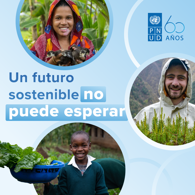 Un futuro sostenible no puede esperar.

Desde hace más de 6️⃣0️⃣ años, hemos trabajado mano a mano con comunidades locales en todo el mundo para impulsar el cambio y mejorar la vida de quienes las habitan.

#PNUD60