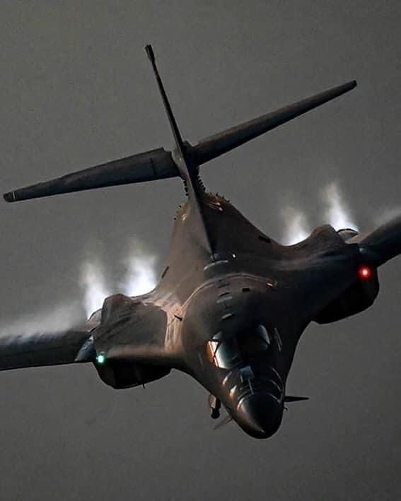 Tropical Island🏝 (@island_tro80622) on Twitter photo 