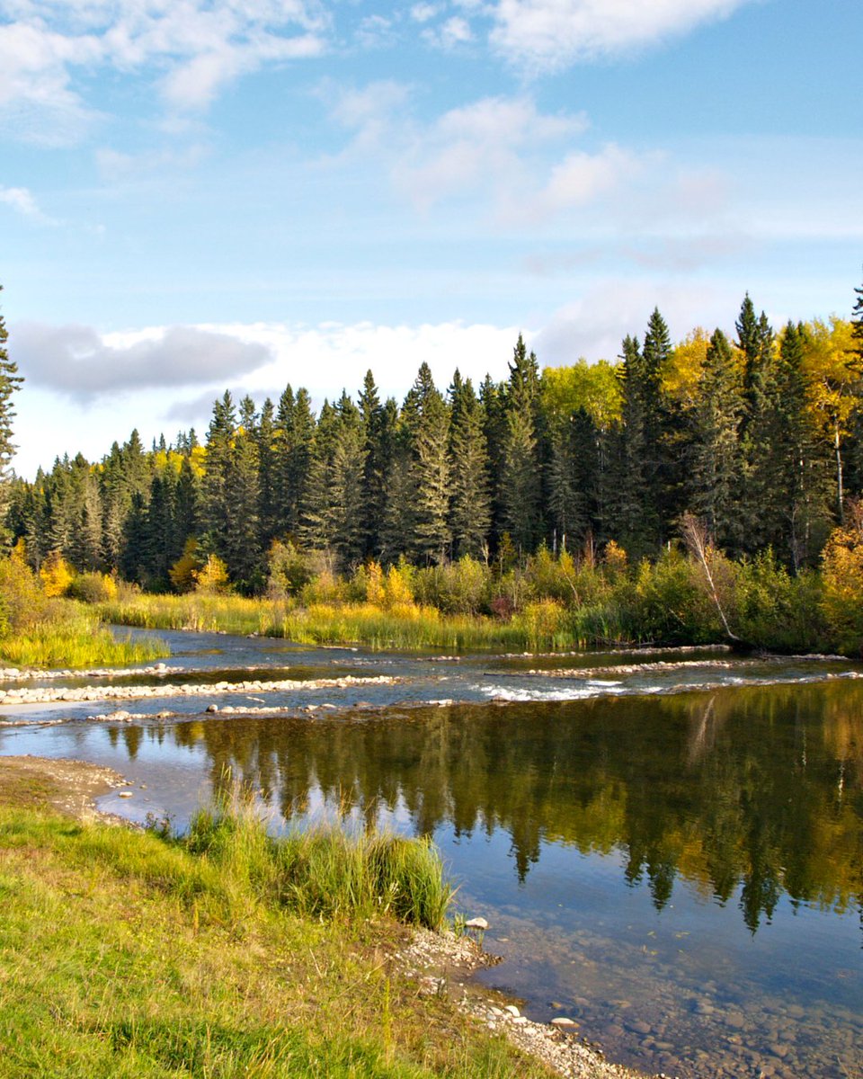 Today marks FOUR years since #PaRx launched in Saskatchewan. More than 500 healthcare providers are registered to prescribe nature with PaRx in Saskatchewan, including 10% of physicians!

Learn more at parkprescriptions.ca/en/get-started