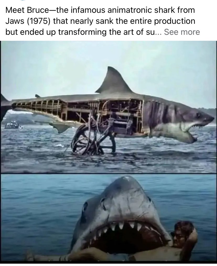 patrickhanford (@patrickjhanford) on Twitter photo 