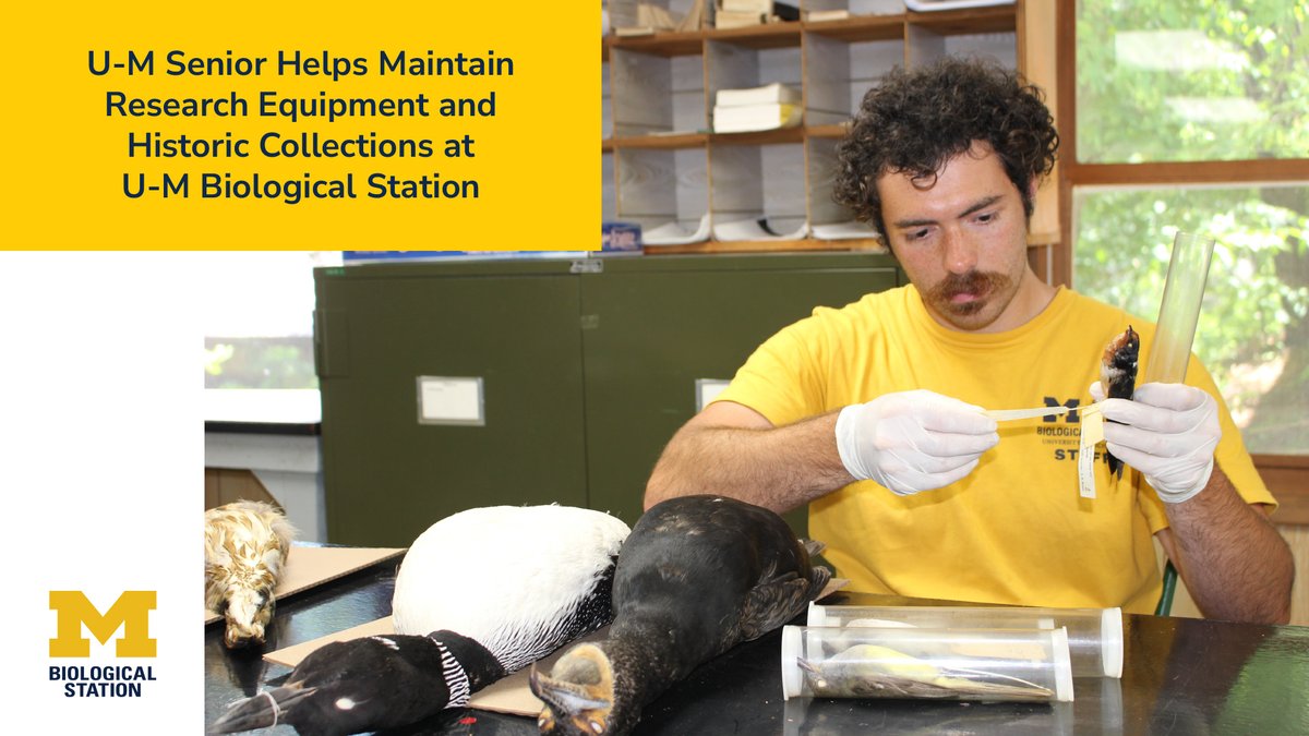 UM Biological Station (@umbs) on Twitter photo STUDENT SUCCESS: Driven by a love for the outdoors, Malachi Cassels is working to preserve historical collections and ensure the safety, accuracy and longevity of research equipment at the <a href="/UMich/">University of Michigan</a> Biological Station during the 2025 field season. Full story: myumi.ch/8qEyg STUDENT SUCCESS: Driven by a love for the outdoors, Malachi Cassels is working to preserve historical collections and ensure the safety, accuracy and longevity of research equipment at the <a href="/UMich/">University of Michigan</a> Biological Station during the 2025 field season. Full story: myumi.ch/8qEyg