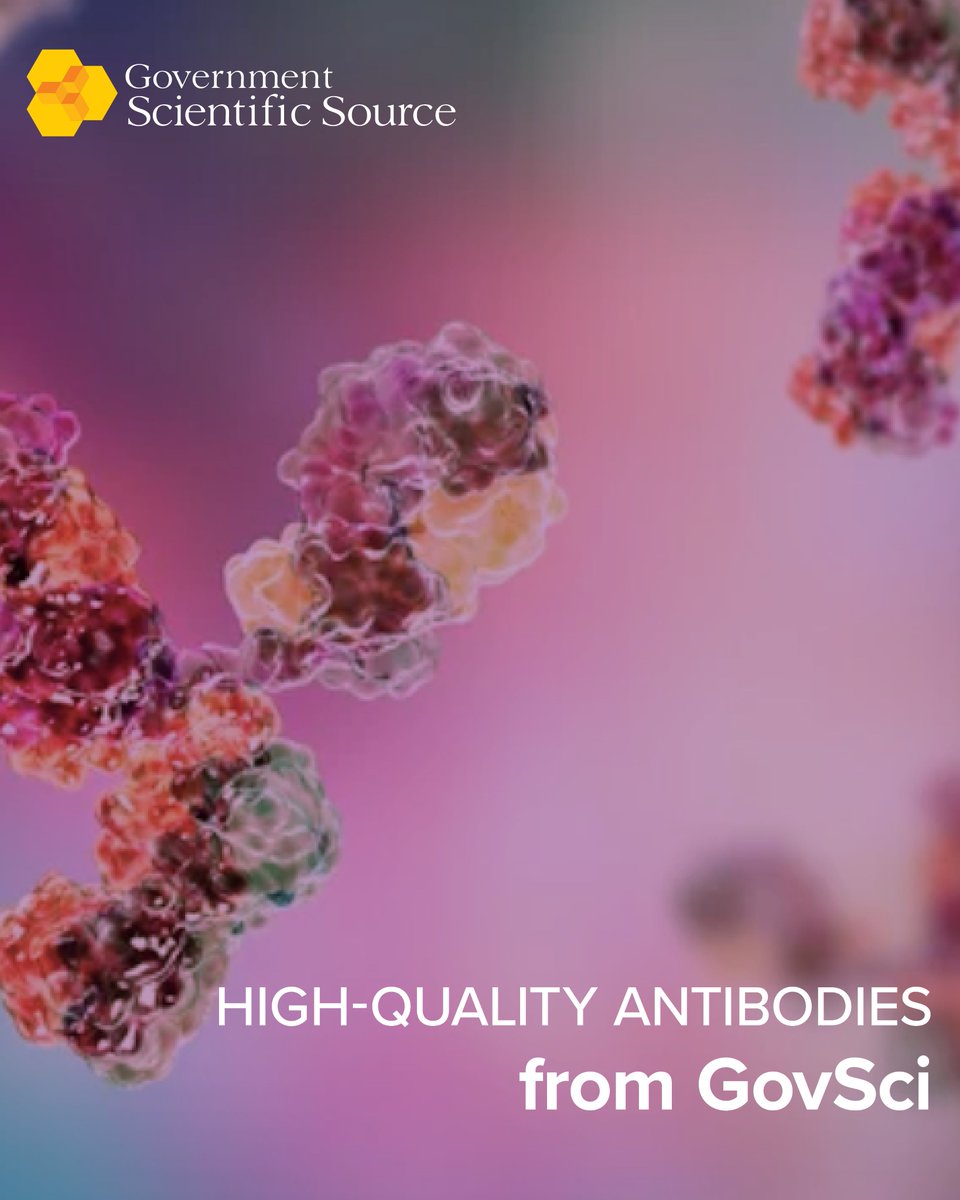 GovSciSource's tweet image. Need high-quality antibodies? We’ve got you covered with trusted suppliers, reliable results, and fast delivery: everything your lab needs to succeed. Shop now at govsci.com, contact us, or check out our article on precision antibodies here: resources.govsci.com/power-of-preci…