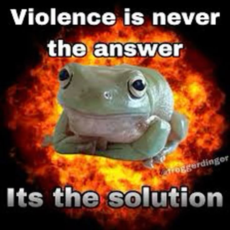 No Context Frogs (@nocontextfrogs) on Twitter photo 