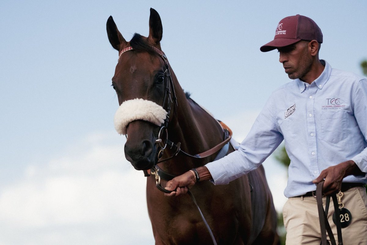 The Channel Consignment & ACF Equine tweet media