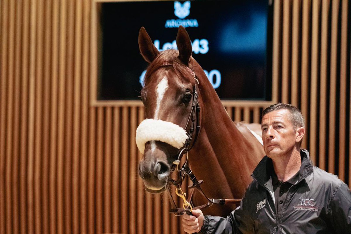 The Channel Consignment & ACF Equine tweet media