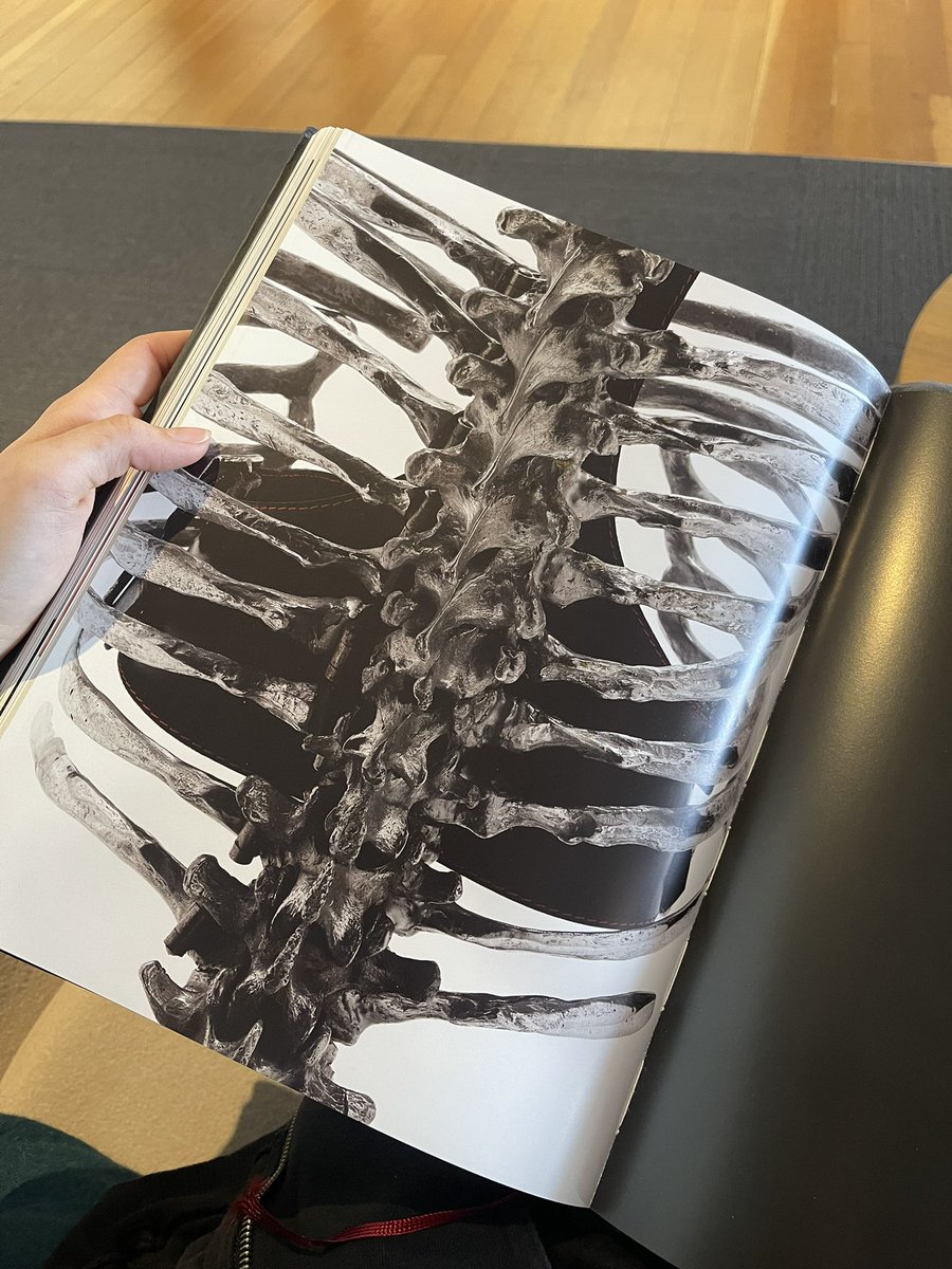 alexander mcqueen book to entertain myself at work yasssss
