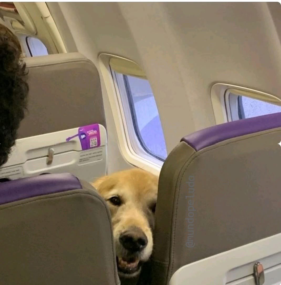 Elegí viajar en primera clase
