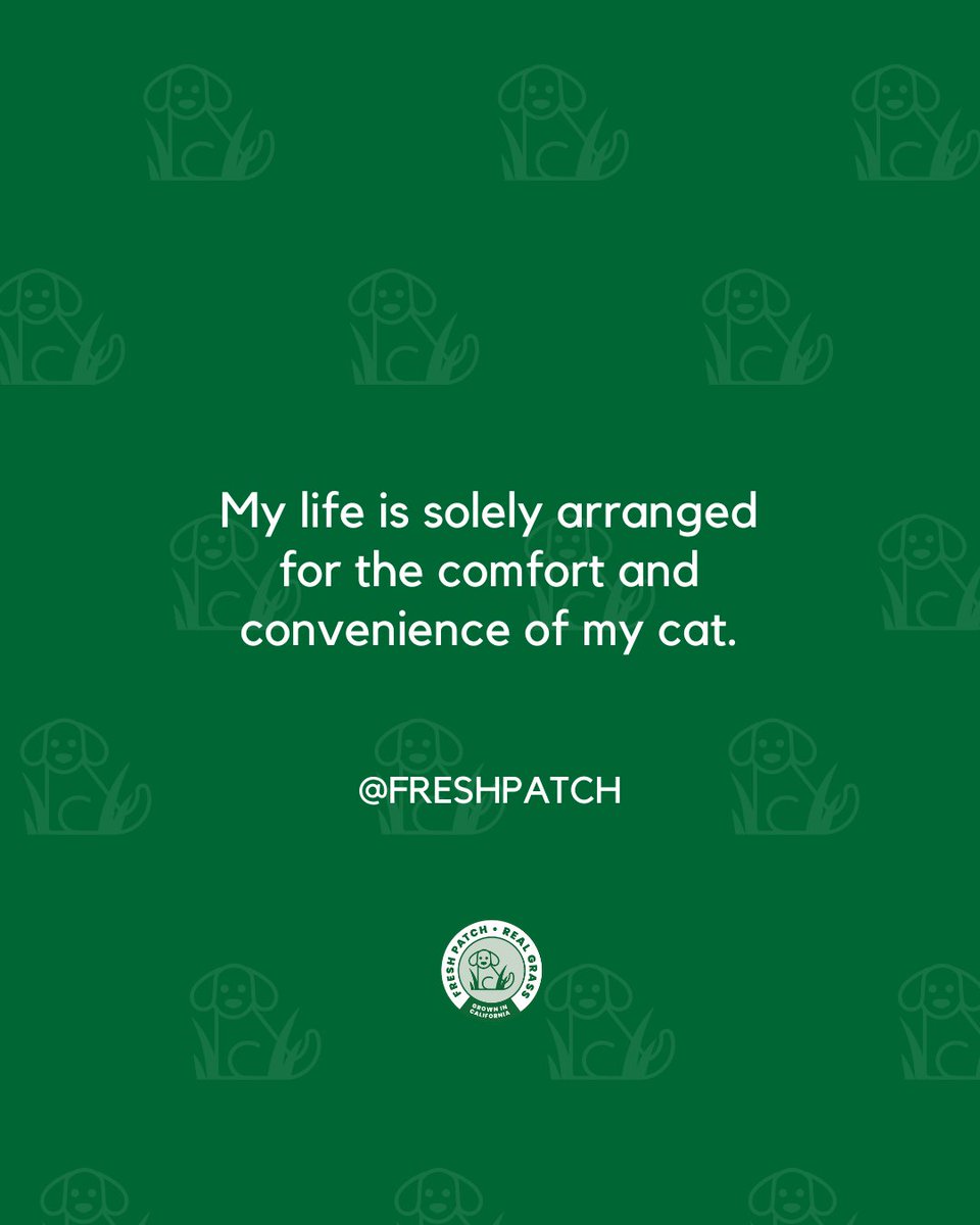FreshPatch's tweet image. Now that you know our priorities...🐶🐈️🐇

#FreshPatch #DogParent #CatLady #BunnyLover