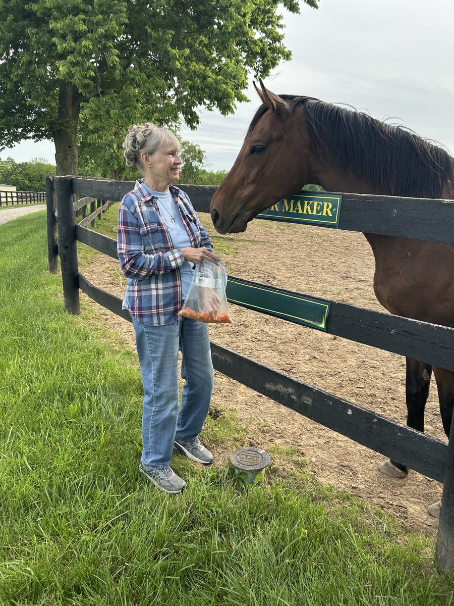 Old Friends (@oldfriendsfarm) on Twitter photo This monthโs ๐ฃ๐ฎ๐ฑ๐ฑ๐ผ๐ฐ๐ธ-๐ฆ๐ถ๐ฑ๐ฒ ๐๐ถ๐๐ต ๐๐ฒ๐๐ฒ๐ฟ๐น๐ ๐ฆ๐ธ๐ถ๐ป๐ป๐ฒ๐ฟ focuses on Heโs Our Maker, who was retired to Old Friends by our good friends Ron & Debra McAnally.
You can read Beverly's thoughts about him over on our Facebook page. This monthโs ๐ฃ๐ฎ๐ฑ๐ฑ๐ผ๐ฐ๐ธ-๐ฆ๐ถ๐ฑ๐ฒ ๐๐ถ๐๐ต ๐๐ฒ๐๐ฒ๐ฟ๐น๐ ๐ฆ๐ธ๐ถ๐ป๐ป๐ฒ๐ฟ focuses on Heโs Our Maker, who was retired to Old Friends by our good friends Ron & Debra McAnally.
You can read Beverly's thoughts about him over on our Facebook page.
