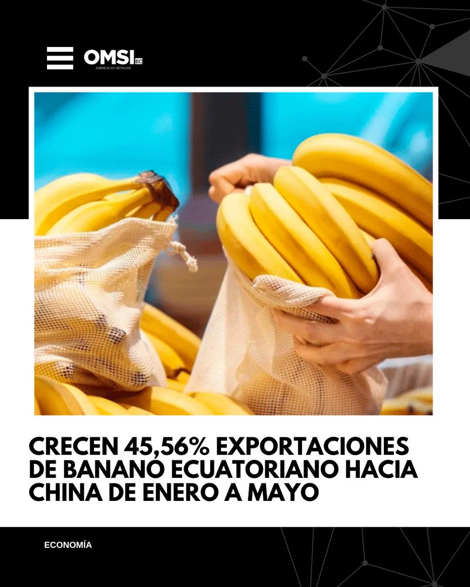 Exportaciones de banano ecuatoriano a China crecieron 45,56 % entre enero y mayo de 2025, según Acorbanec.

Entérate: n9.cl/igh5m