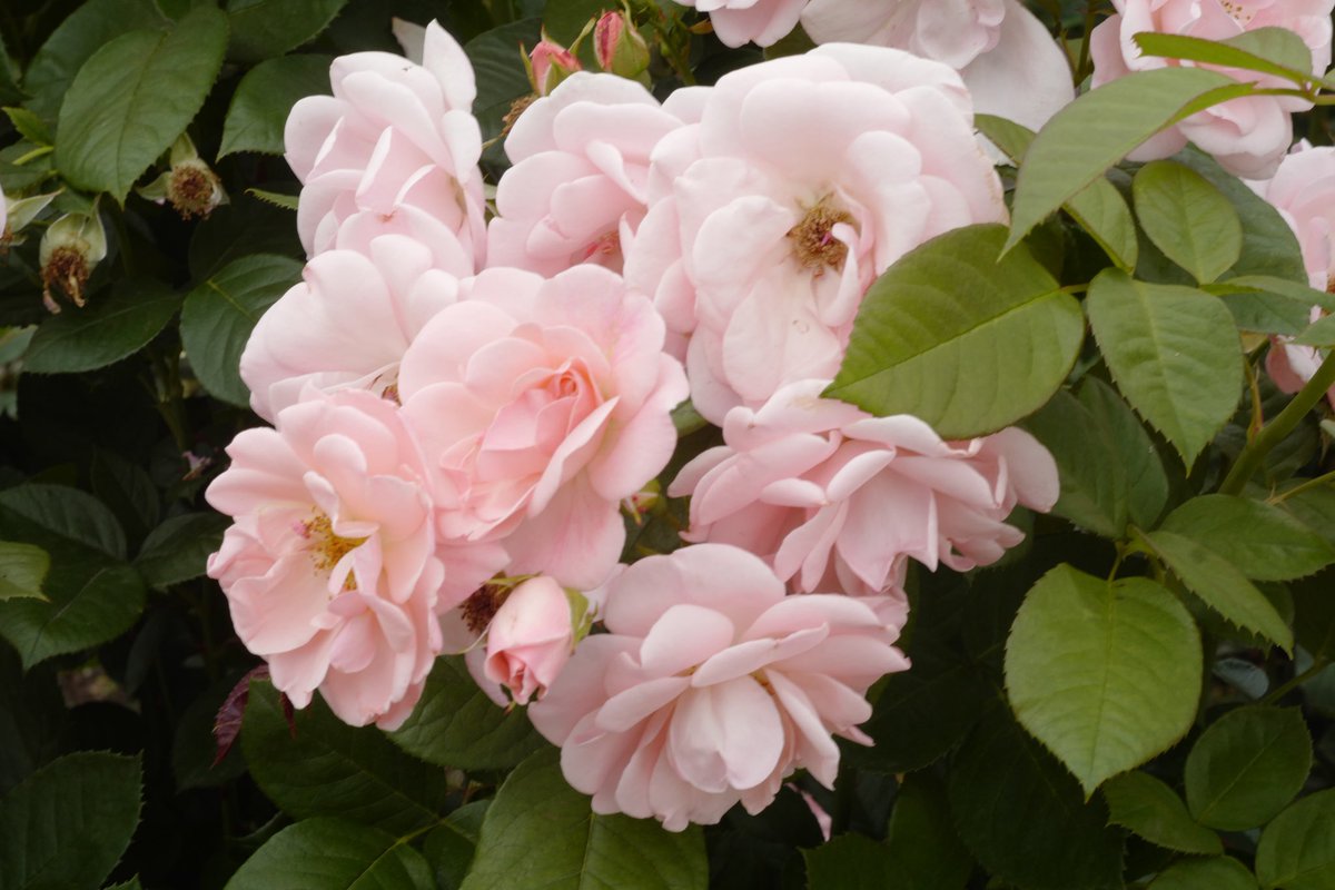 officesevenn's tweet image. 