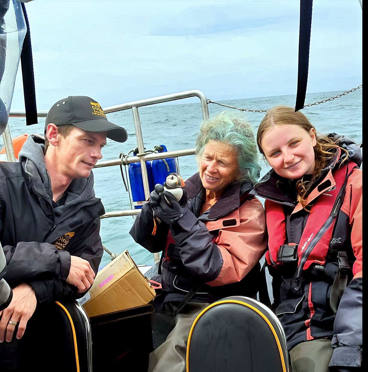 What would you do if you found a puffin on your doorstep?  It may seem like an odd question – but it’s one that Amelia Nash and her mother Elizabeth had to answer last Monday morning.
Read the full story in this week’s Kerry’s Eye