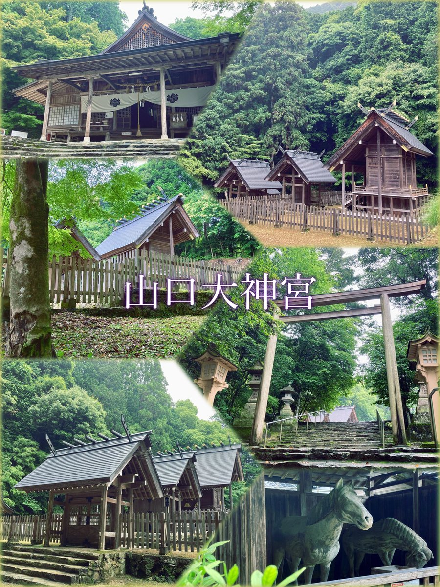 memory21002100's tweet image. 山口大神宮⛩️ 山口県山口市
〜 耳をすまして 〜
黙して 語る
深き緑
静かに
荘厳の奥
ただ 静かに
# 神社仏閣