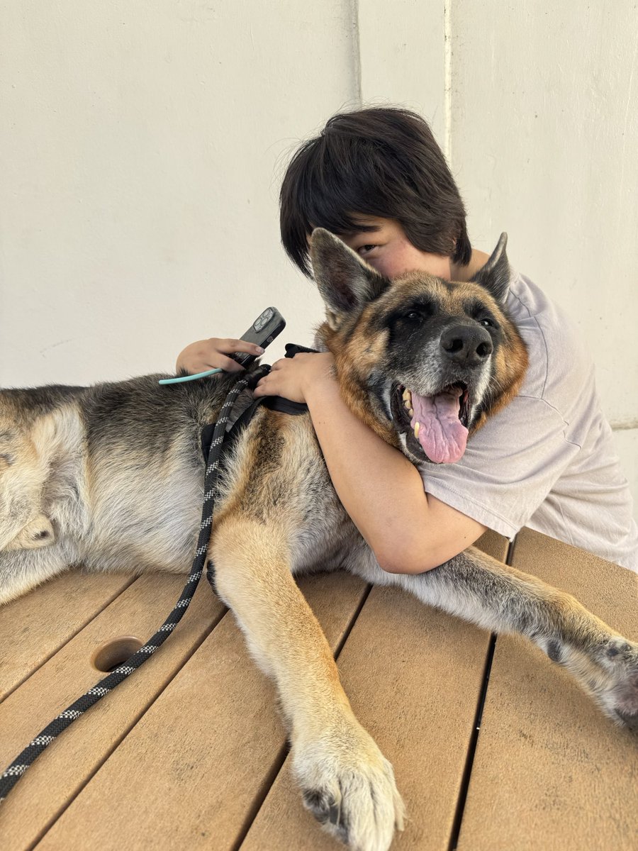 シェパード飼って死にたい。