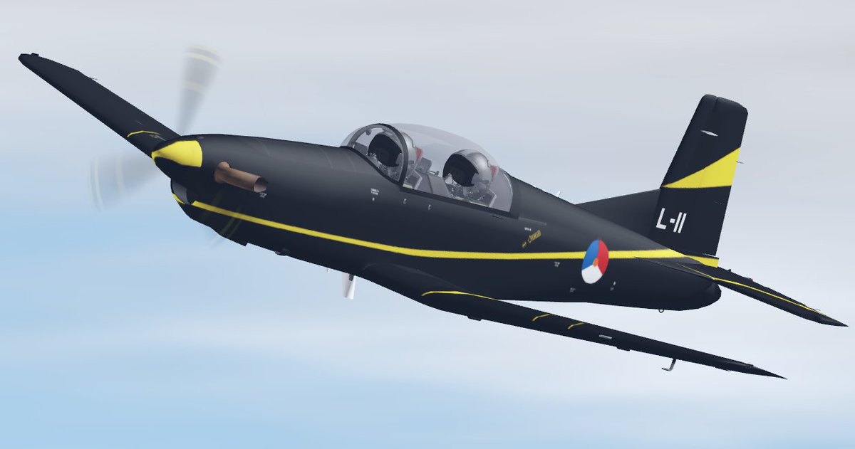 Virtual Air Combat Command tweet media