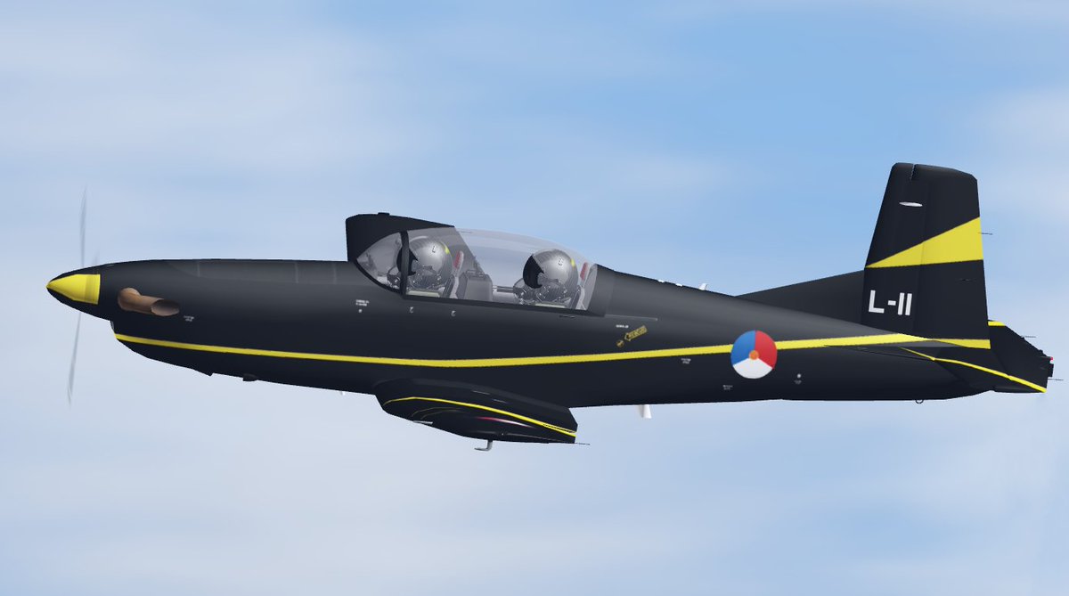 Virtual Air Combat Command tweet media