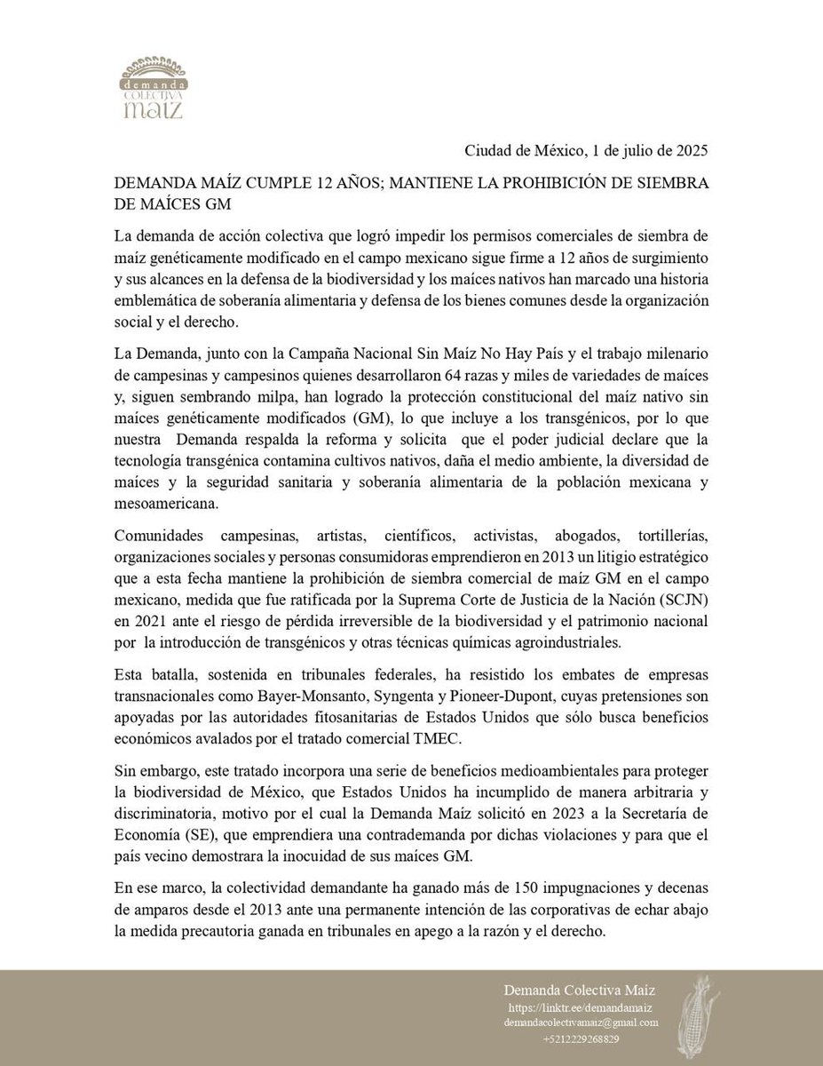 victor_suarez's tweet image. Haber pertenecido a un movimiento que no cejó, rindió frutos y protegió nuestra riqueza común, es motivo de orgullo.

La Demanda Colectiva Maíz cumplió 12 años de una lucha firme que impidió la siembra comercial de maíz transgénico en México.

Gracias a la fuerza de comunidades…