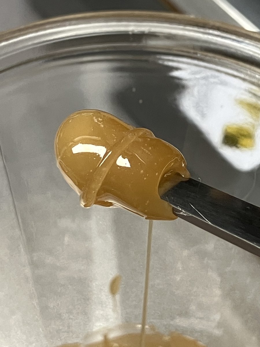 RosineerPress's tweet photo. Playing with freshly pressed stuff 🥰😊😊
#rosineer #rosinpressing #rosineermighty10 #mighty10press #rosinpress #solventless #solventlessextraction #rosineerpresses #rosinpressmachine https://t.co/gm0RslHCWS