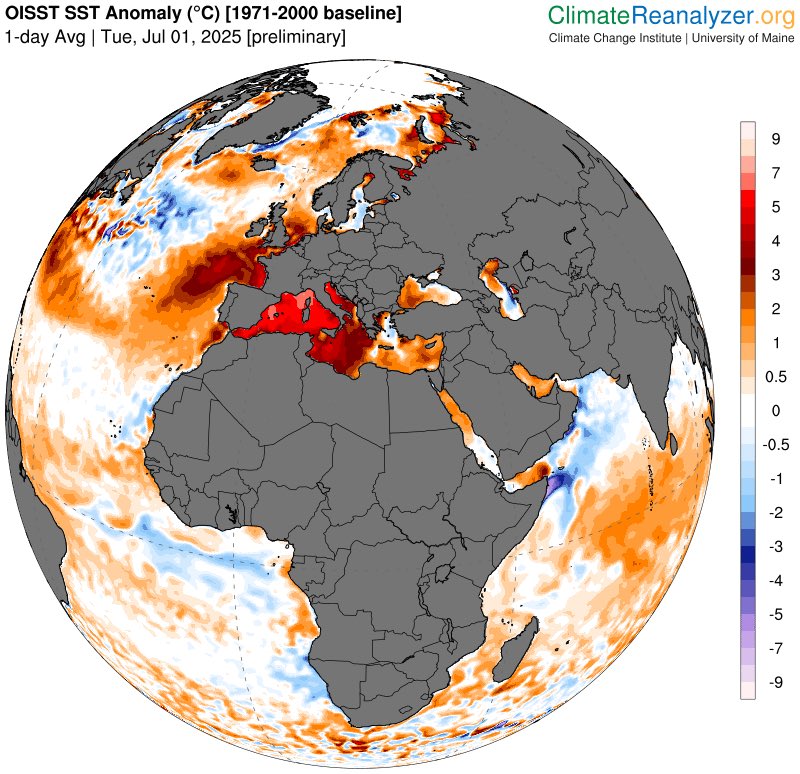 MarGomezH's tweet photo. 🔴 El mar Mediterráneo presenta anomalías térmicas superiores a +3 °C en muchas zonas, especialmente entre España, Francia, Italia y el norte de África. Algunas áreas incluso superan los +4 °C respecto a lo que sería “normal” en esta época del año.

¿Por qué es preocupante un Mediterráneo tan cálido?
1.Más noches tropicales 
2.Tormentas más intensas y violentas
El agua caliente del mar es combustible para la atmósfera. Cuanto más cálido el mar, más energía y humedad se libera, lo que puede alimentar tormentas severas
3.Impacto en los ecosistemas marinos
Un Mediterráneo tan cálido desestabiliza los ecosistemas.