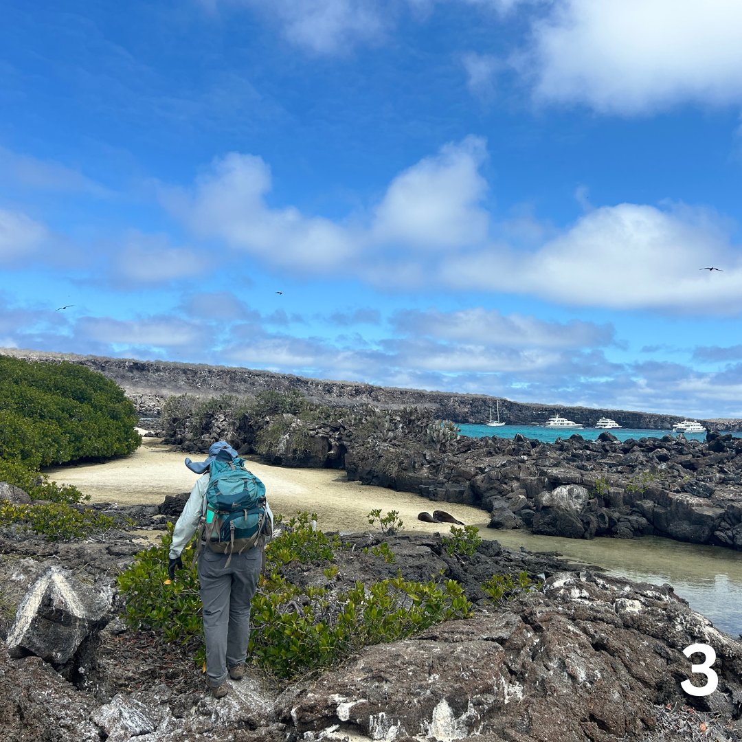 It's time to vote! Reply what your favorite photo is (1, 2, 3 or 4) or head over to instagram (<a href="/uazgeos/">University of Arizona Geosciences</a>). As a reminder, the winner will receive a $100 cash prize and a chance to be in the running for this year’s newsletter cover. Good luck awesome geoscientists!