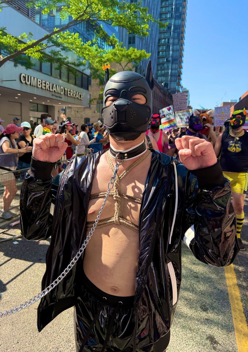 Pupslave_Aiden tweet media