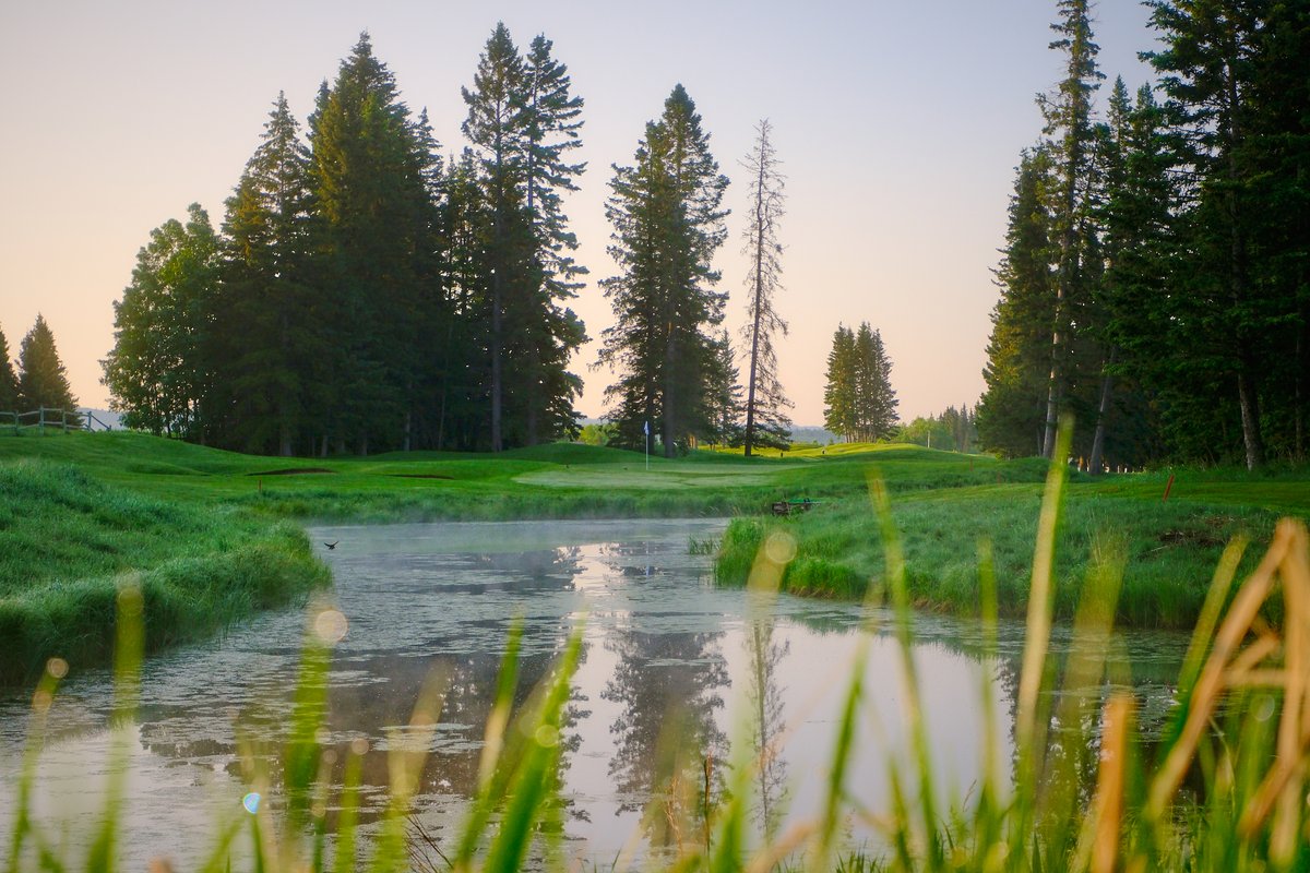 Views like this 😍🏌️

📸 Joey Hubbard Photography