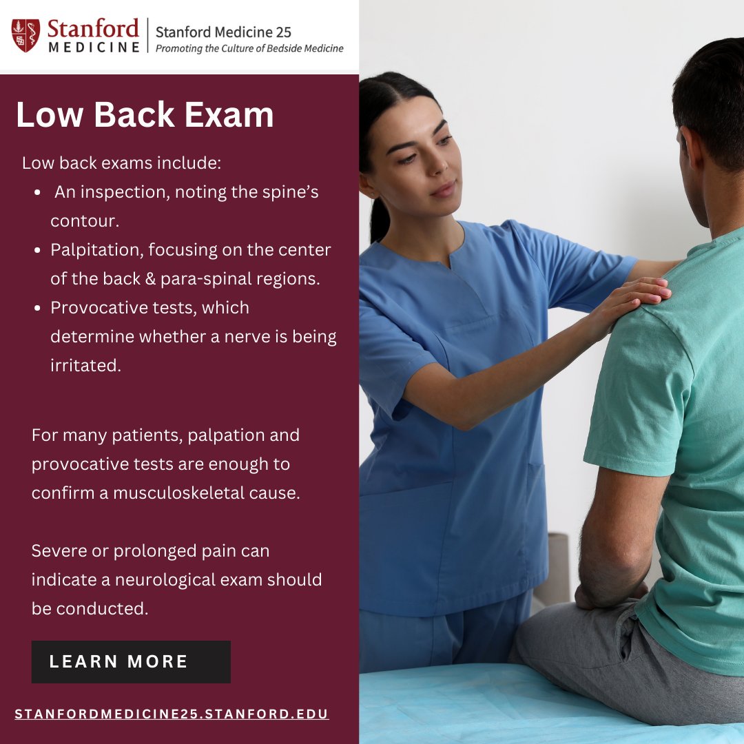StanfordMed25's tweet image. Check out these quick notes on the low back physical exam! For more tips on inspection, palpation, provocative tests, the neuro exam & awareness of more concerning causes of back pain: stanford.io/2VAoTDP
