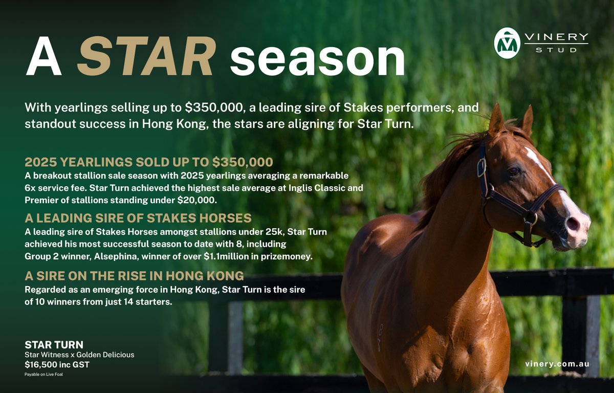 🤩 Star Turn is having a stellar season at <a href="/VineryStud/">Vinery</a>.

Just look at the facts ⤵️