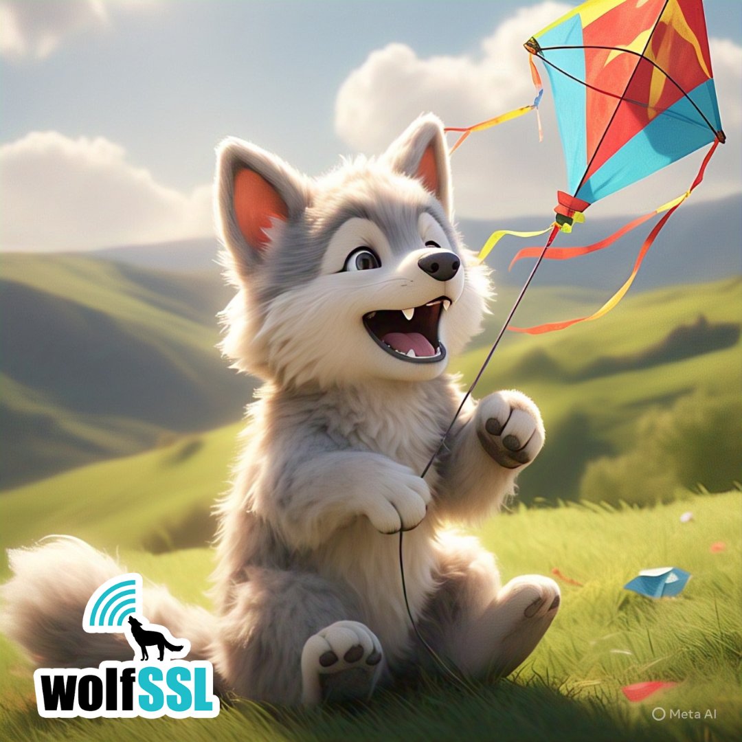 wolfSSL Embedded SSL/TLS; FIPS 140-3 (@wolfssl) on Twitter photo 🚀 Coming soon: tiny-curl for <a href="/ZephyrIoT/">Zephyr Project</a> RTOS!
We’re bringing lightweight HTTPS client capabilities to one of the most popular #RTOS platforms for embedded systems.
Stay tuned as we integrate tiny-curl into the Zephyr ecosystem!
#ZephyrRTOS #tinycurl #curl <a href="/bagder/">daniel:// stenberg://</a> 🚀 Coming soon: tiny-curl for <a href="/ZephyrIoT/">Zephyr Project</a> RTOS!
We’re bringing lightweight HTTPS client capabilities to one of the most popular #RTOS platforms for embedded systems.
Stay tuned as we integrate tiny-curl into the Zephyr ecosystem!
#ZephyrRTOS #tinycurl #curl <a href="/bagder/">daniel:// stenberg://</a>