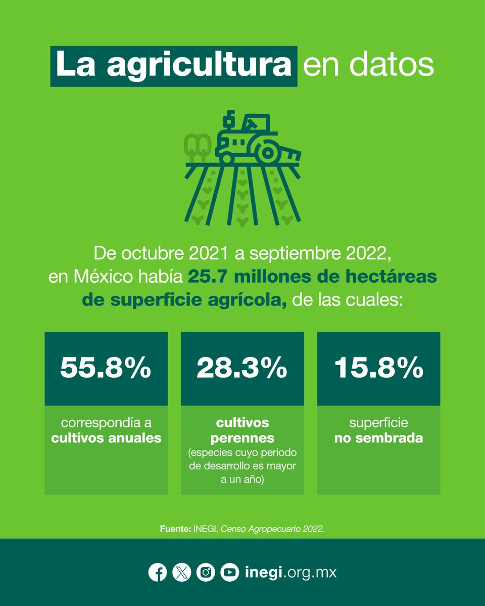 Hoy es el Día de la Agricultura Nacional. 🌾 ¿Sabías que en México hay millones de hectáreas dedicadas a la actividad agrícola? Consulta este #DatoINEGI y conoce cómo se distribuyen.

Consulta más información en: inegi.org.mx/programas/ca/2…
