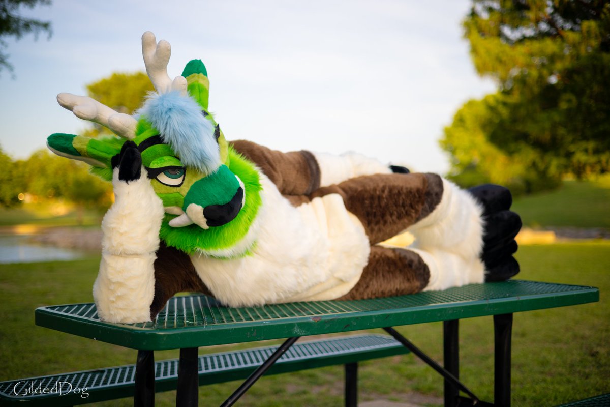 Dismount me like one of your French deer. 

📷 <a href="/GildedDog1/">Gilded Dog 🔜 AnthroExpo</a> 

This was from an amazing photo shoot that I had with Gilded. I appreciate him a lot! 

#furry #fursuit #publicfursuiting