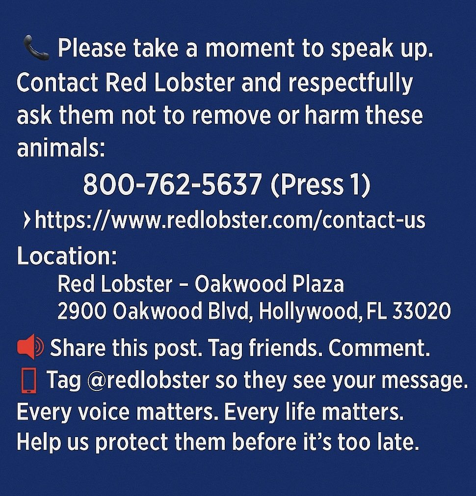 cmartful's tweet photo. @redlobster #SpeakUpForAnimals #MotherNature #AnimalAdvocacy #StopAnimalCruelty #CompassionForAnimals #WildlifeConservation #ViralAnimals #DuckTok #AnimalsOfTwitter #SouthFlorida https://t.co/44wxvvNUDT