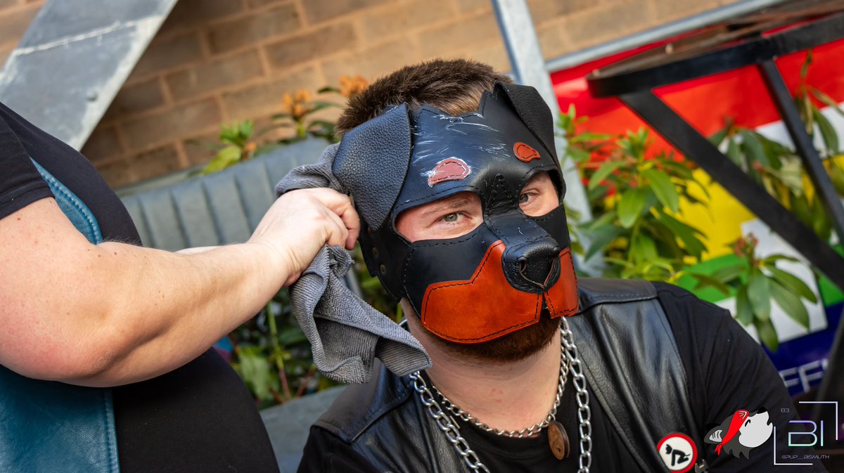alphamuttley's tweet photo. No, they weren’t cleaning off what you think 
I sat and was a good boy while my face got buffed and cleaned 🐶
@ClubScritches great event
@Pup__Bismuth great pictures https://t.co/W4E3biB2k6