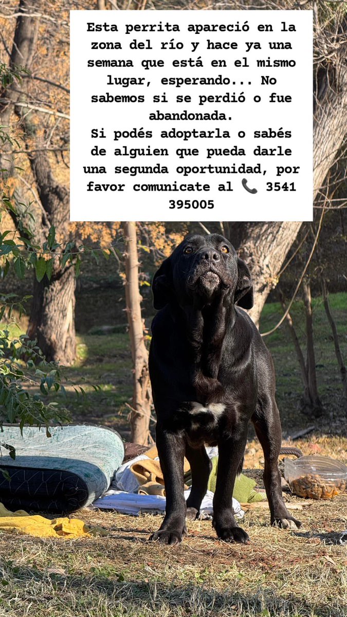 Ceci (@ceciliabarletta) on Twitter photo 