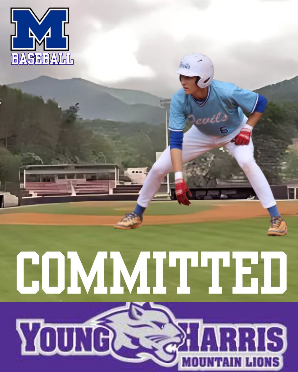 Model Baseball tweet media