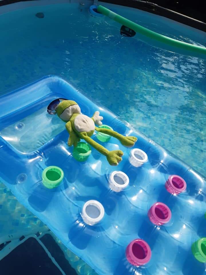 Frohlig zu sein bedarf es wenig.. lala 🎵🎶
Heute reichte es,  einfach so zu überleben im Froschteich 😎

#bleibfrohlig es kommen auch wieder #kühlereTage🧊🥶 💚🐸💚