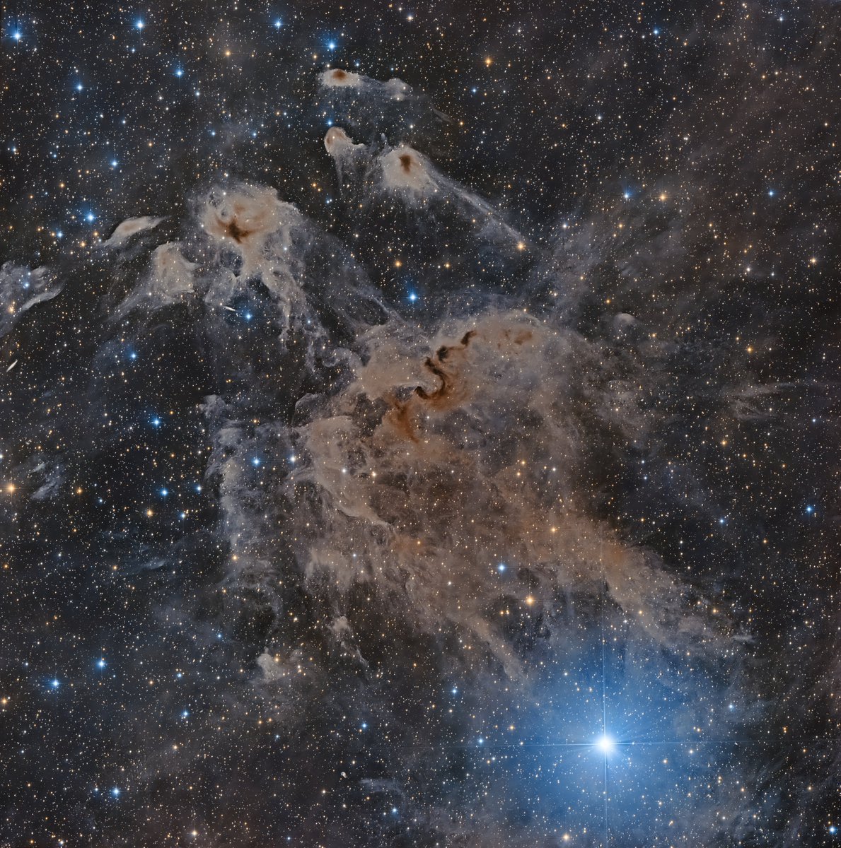 chucksastropho1's tweet image. My latest capture.  The LDN 1100 nebula is located in the constellation Cepheus.  It&apos;s a dark nebula made up of dense regions of interstellar dust and gas that block visible light.  

Celestron RASA telescope
ZWO ASI533MC color camera
Antlia L-Filter
Starfront Observatories, TX