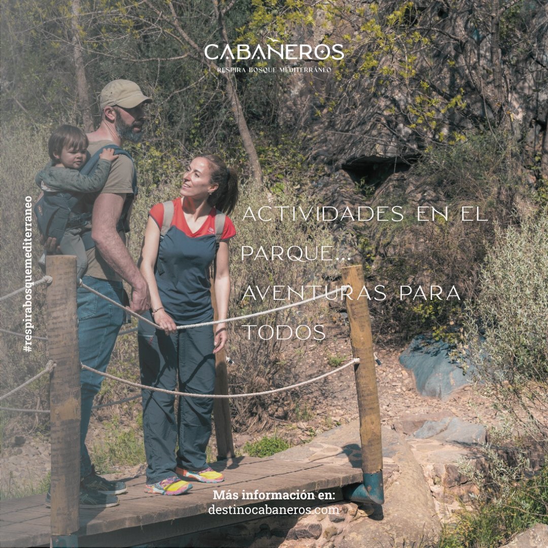 PSTCabaneros's tweet photo. ¡Vive la naturaleza a tu ritmo! 🌳

Senderismo, rutas 4x4, paseos en bici o actividades para toda la familia.
En Cabañeros hay aventuras para todos… y todos los sentidos.

⛰️ #AventuraCabañeros #TurismoParaTodos #DestinoCabañeros https://t.co/2UWWYQvWhf
