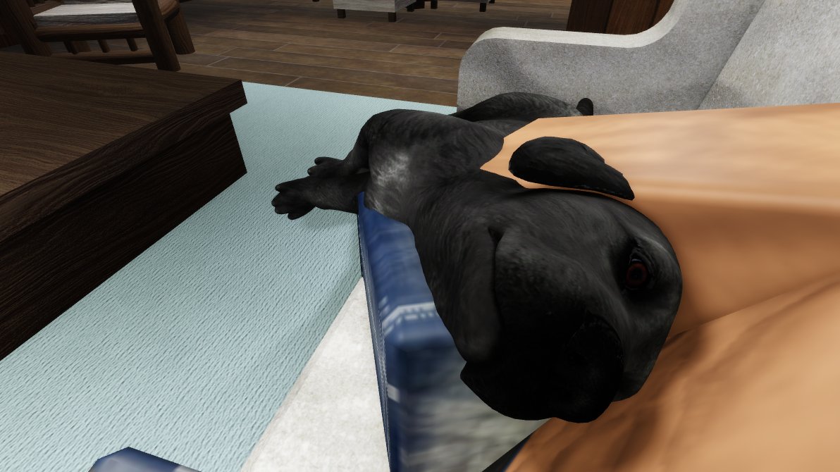 I don’t think Ardey knows he’s a big dog.