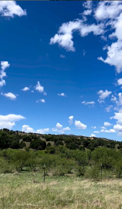 Caretaker individuals or couple needed for historic guest ranch in southern Arizona. Details about this new position were sent out to our paid subscribers in our latest email update.  Any questions, please email caretakergazette@gmail.com
