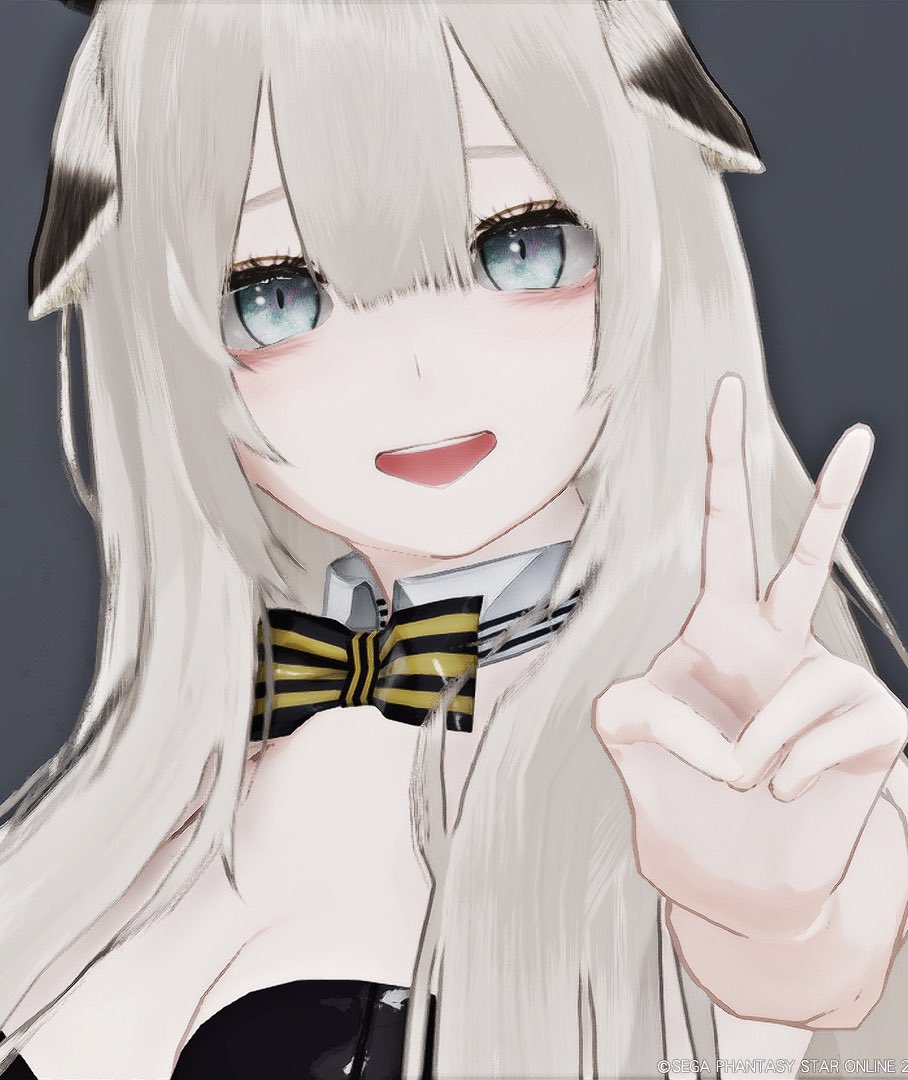 penchon47's tweet image. #PSO2NSG
✌️