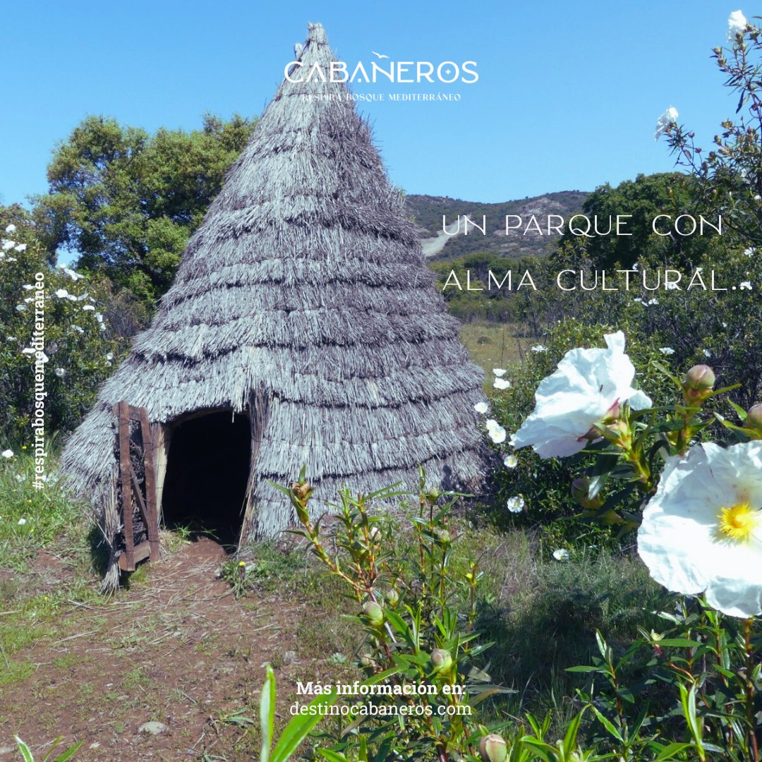 PSTCabaneros's tweet photo. Cabañeros también es cultura viva: chozos tradicionales, historias rurales y oficios que aún laten en cada sendero.
🚶‍♂️✨ Vive el patrimonio en cada paso.
#DestinoCabañeros #CulturaRural #TurismoConAlma https://t.co/x9UwRh7XxM