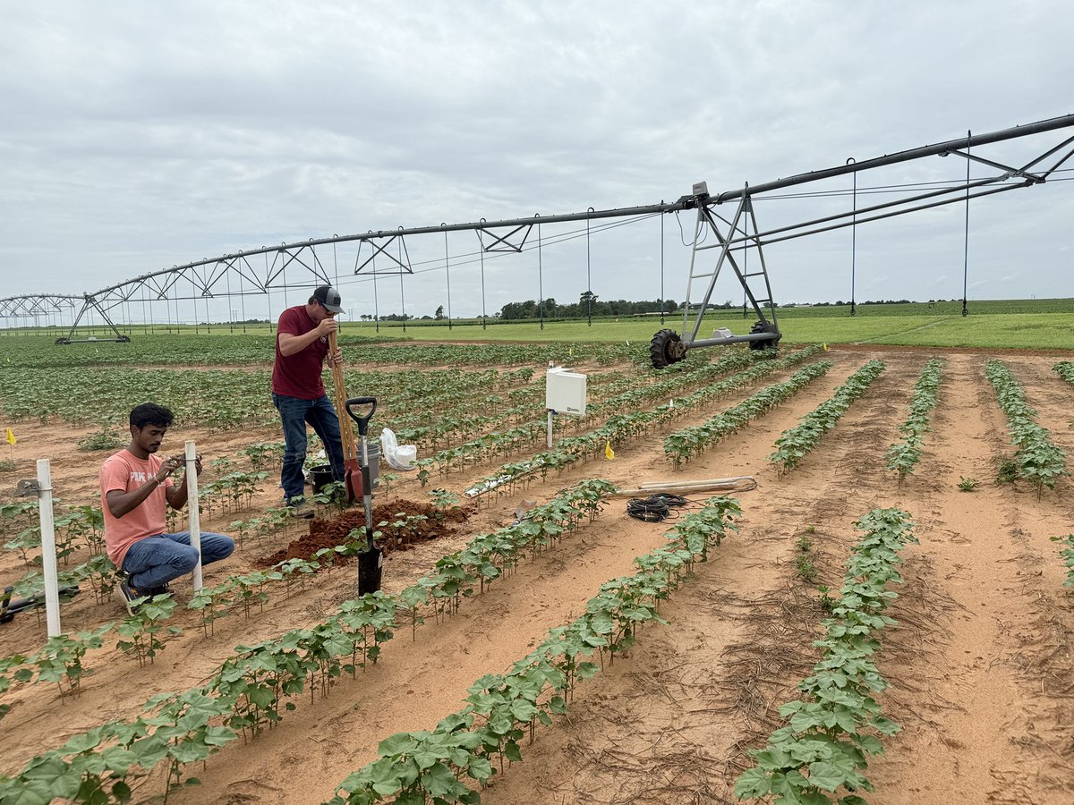 Irrigation Research Laboratory (IRL), OSU tweet media