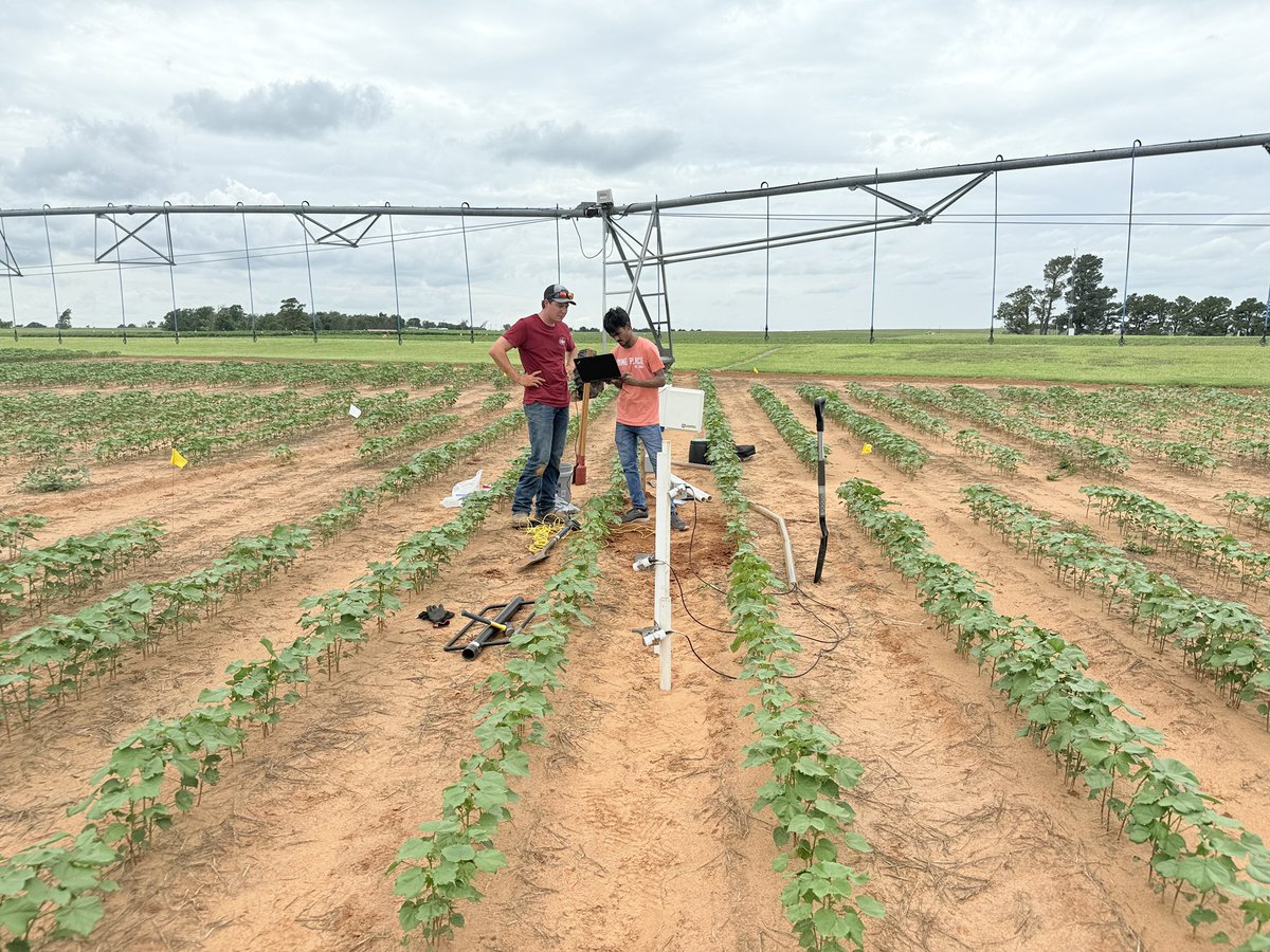 Irrigation Research Laboratory (IRL), OSU tweet media