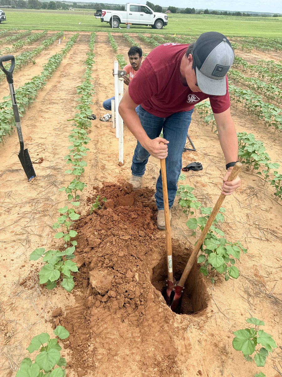 Irrigation Research Laboratory (IRL), OSU tweet media
