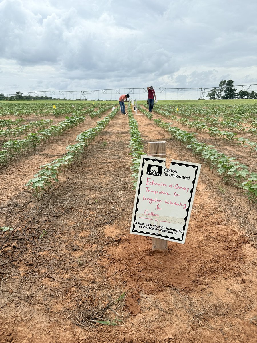 Irrigation Research Laboratory (IRL), OSU (@irl_bae_osu) on Twitter photo Hooray!
Soil moisture and canopy temperature sensors installed at Caddo Research Station for irrigation scheduling research.
Thanks to students for their hard work. Alok Pandit Jacob Kettner
Greatly appreciate funding from <a href="/CottonInc/">Cotton Incorporated</a> <a href="/USGS/">USGS</a>
<a href="/BAEOkstate/">OSU Biosystems and Agricultural Engineering</a> <a href="/okstate_ag/">Oklahoma State University Extension</a> Hooray!
Soil moisture and canopy temperature sensors installed at Caddo Research Station for irrigation scheduling research.
Thanks to students for their hard work. Alok Pandit Jacob Kettner
Greatly appreciate funding from <a href="/CottonInc/">Cotton Incorporated</a> <a href="/USGS/">USGS</a>
<a href="/BAEOkstate/">OSU Biosystems and Agricultural Engineering</a> <a href="/okstate_ag/">Oklahoma State University Extension</a>