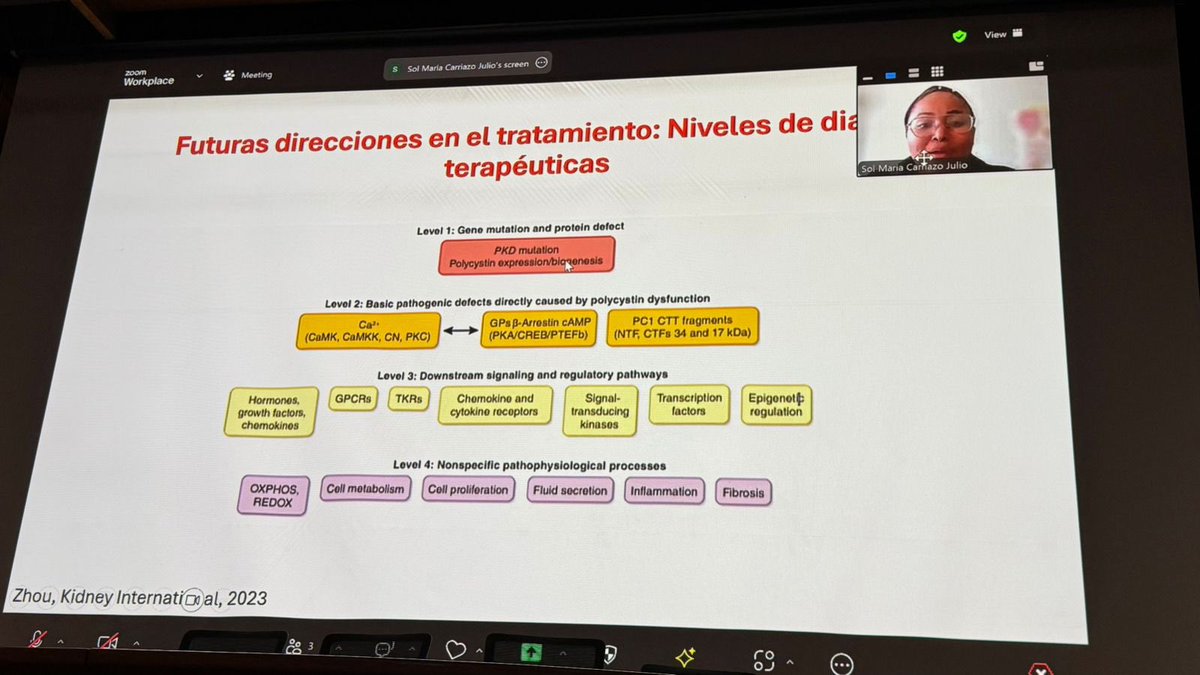 Brenda Delgado (@bren_981) on Twitter photo Autosomal dominant polycystic kidney disease (ADPKD) Keynote lecture by <a href="/Nefrontera/">Sol Carriazo, Neph.</a> MD.
Thank you for sharing your experience with us. 💙
<a href="/NefroINCMNSZ/">Departamento de Nefrología y Metabolismo Mineral</a> <a href="/Mafer_ZavalaM/">MaFer Zavala</a> Autosomal dominant polycystic kidney disease (ADPKD) Keynote lecture by <a href="/Nefrontera/">Sol Carriazo, Neph.</a> MD.
Thank you for sharing your experience with us. 💙
<a href="/NefroINCMNSZ/">Departamento de Nefrología y Metabolismo Mineral</a> <a href="/Mafer_ZavalaM/">MaFer Zavala</a>