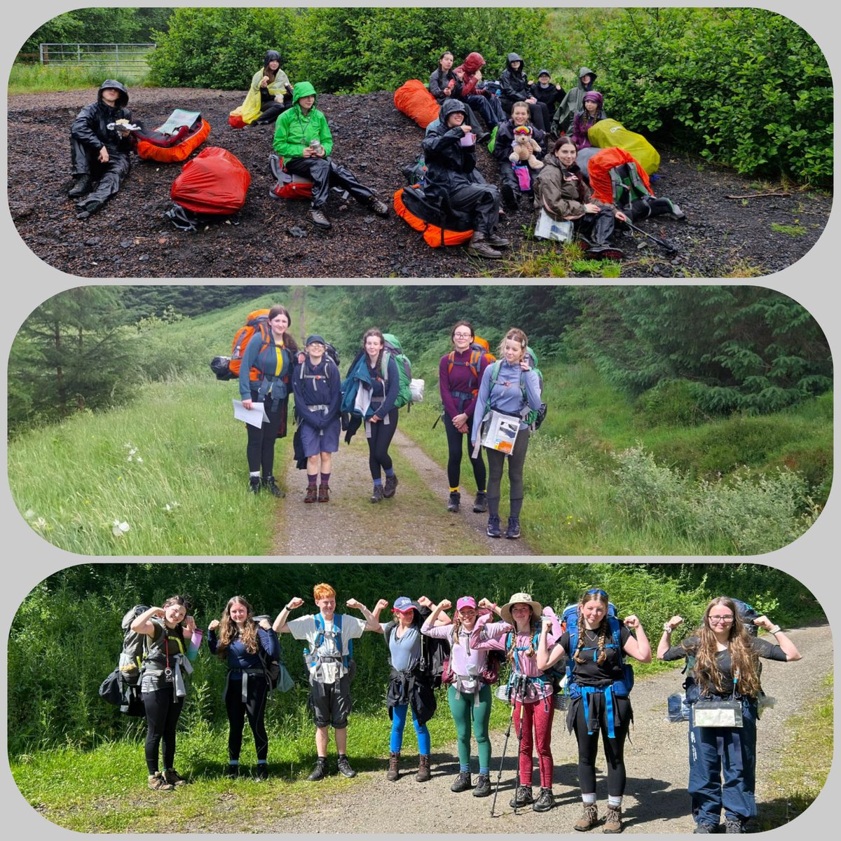 Logos DofE tweet media