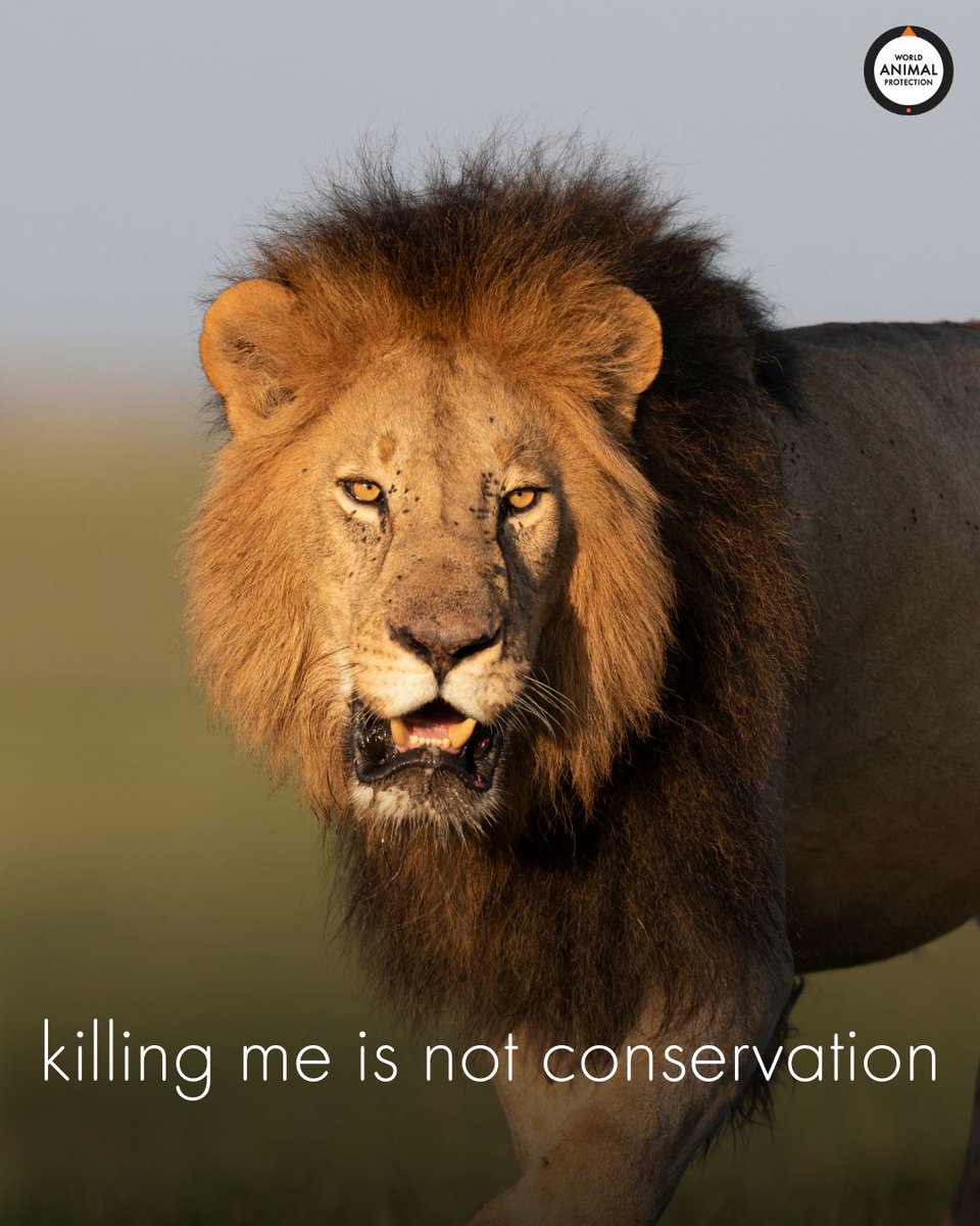 Killing animals will never be conservation. Period.