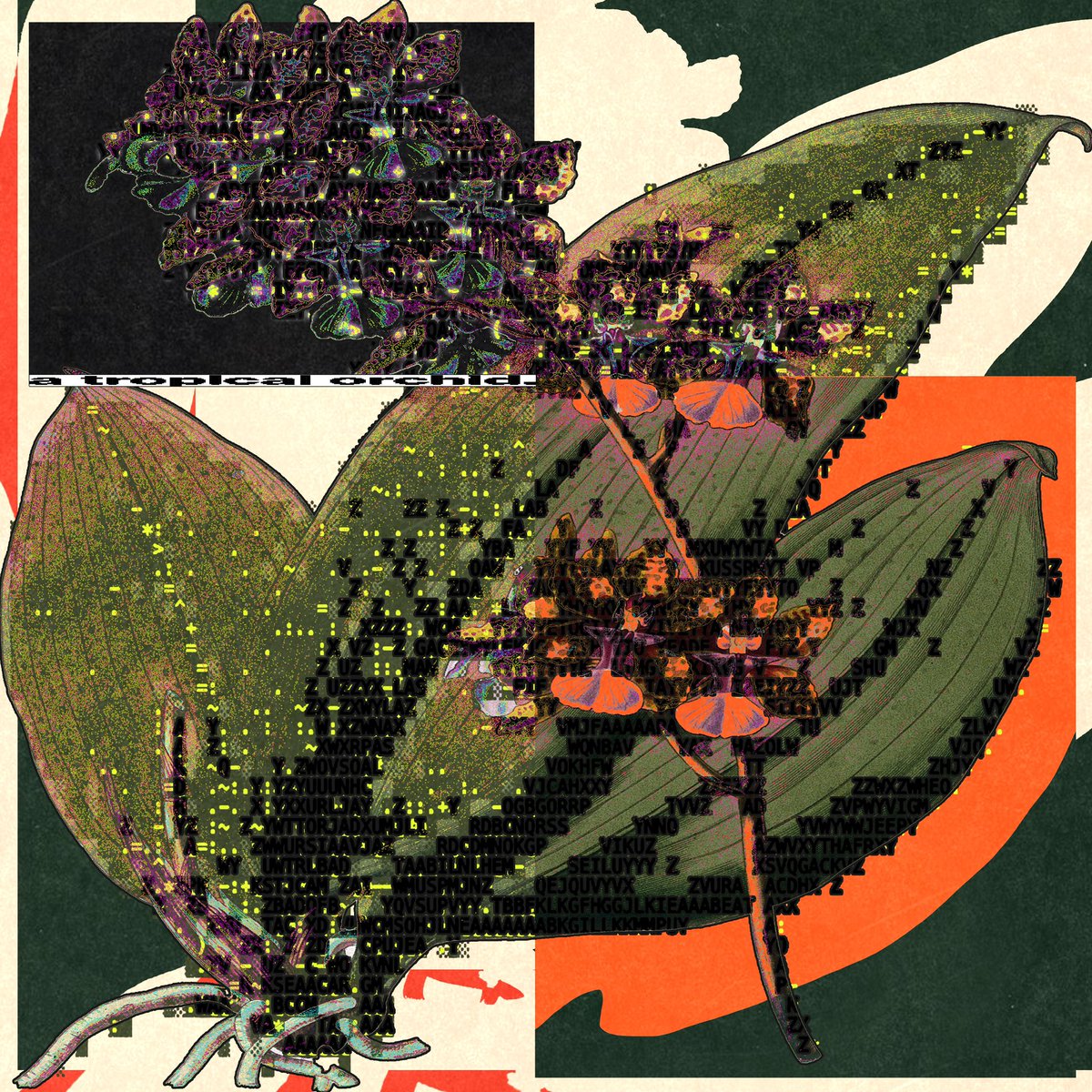 enigmatriz's tweet photo. https://t.co/x7UNAF6yLC